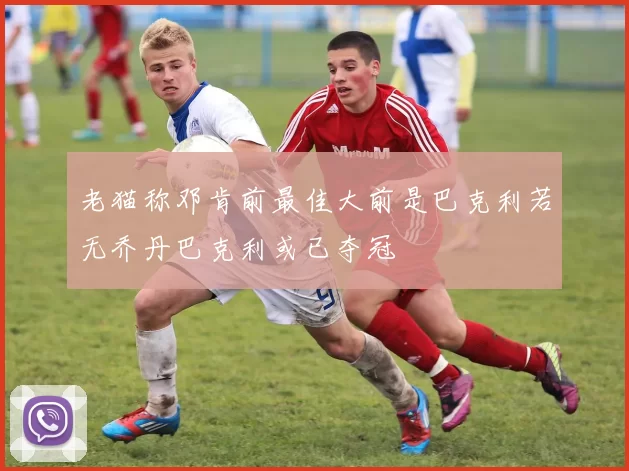 老猫称邓肯前最佳大前是巴克利若无乔丹巴克利或已夺冠