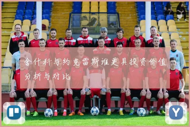 舍什科与约克雷斯谁更具投资价值分析与对比